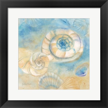 Framed Watercolor Shells I Print