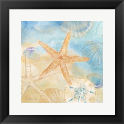 Framed Watercolor Shells IV Print