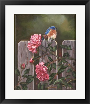 Framed Blue Bird Print