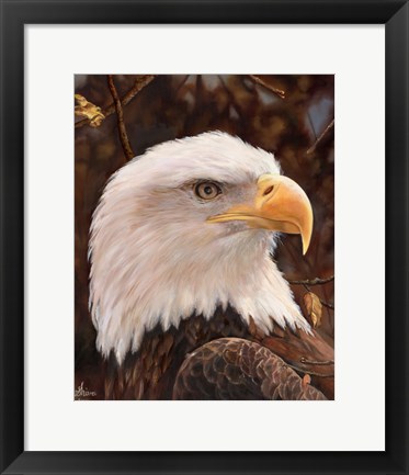 Framed Eagle Print