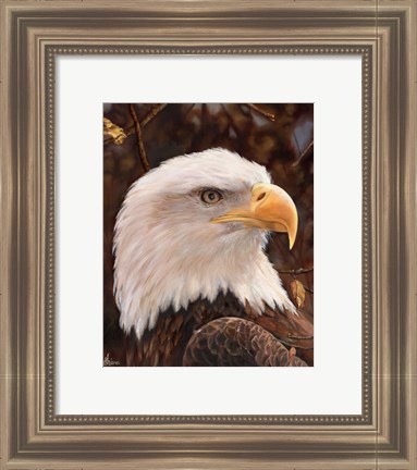 Framed Eagle Print