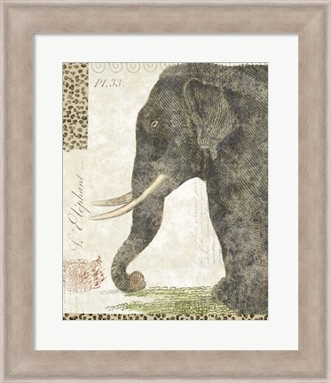 Framed L&#39;Elephant Print