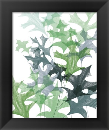 Framed Leaf Impression II Print