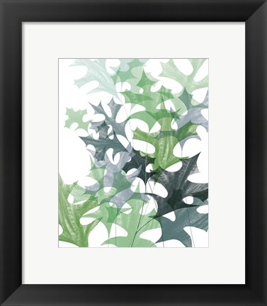 Framed Leaf Impression II Print