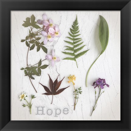 Framed Nature Hope Print