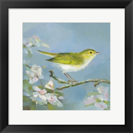 Framed Woodland Birds III Print