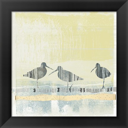 Framed Coastal Birds II Print