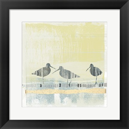 Framed Coastal Birds II Print