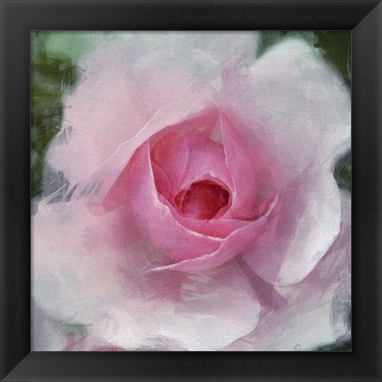 Framed Elegant Bloom I Print