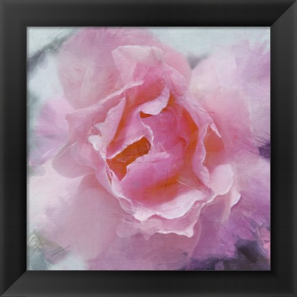 Framed Elegant Bloom II Print