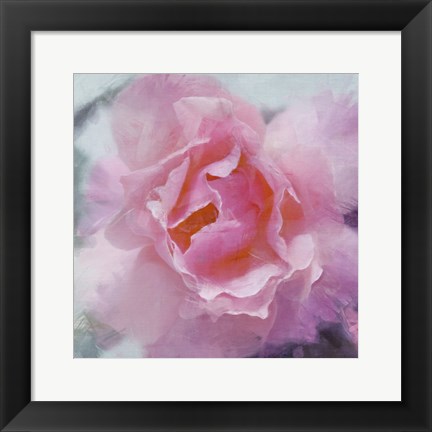 Framed Elegant Bloom II Print