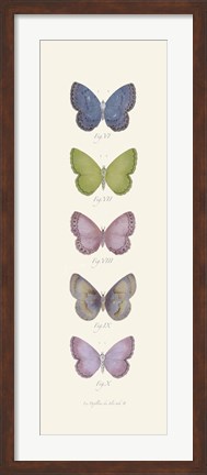 Framed Jardin des Papillons II Print