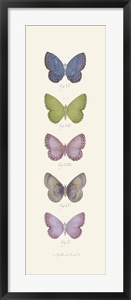 Framed Jardin des Papillons II Print