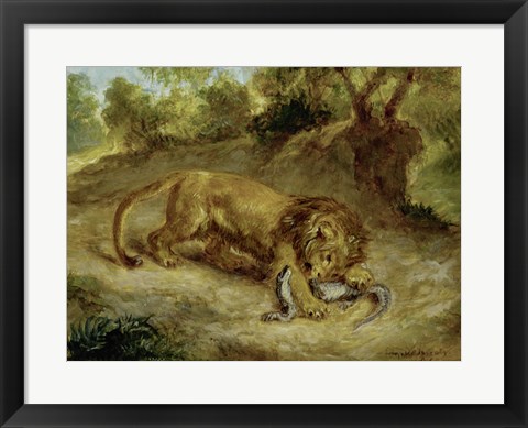 Framed Lion and Cayman, 1855 Print