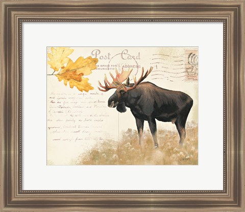 Framed Northern Wild III Print