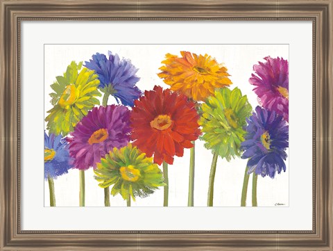 Framed Colorful Gerbera Daisies Print