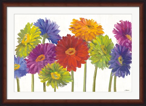 Framed Colorful Gerbera Daisies Print