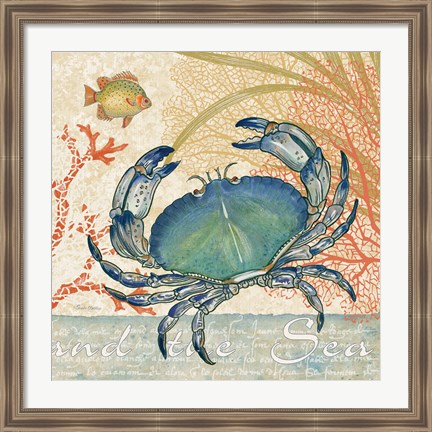 Framed Oceana II Print