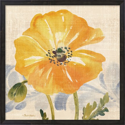 Framed Watercolor Poppies VI Print