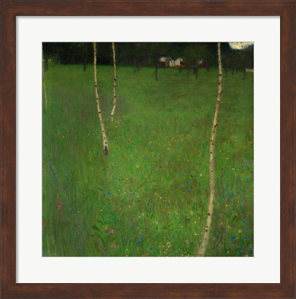 Framed Farmhouse With Birch Trees, 1900 Print