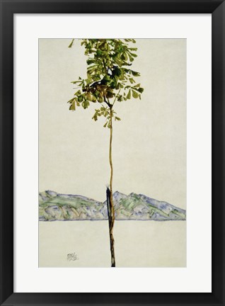 Framed Horse Chestnut Tree, Lake Constance. 1912 Print