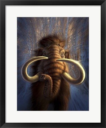 Framed Woolly Mammoth in Snow Print