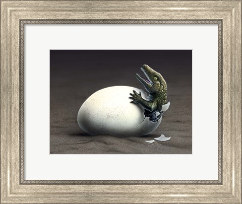 Framed Seymouria Hatching Print