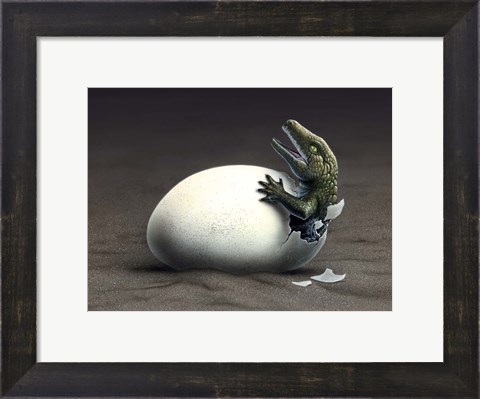 Framed Seymouria Hatching Print