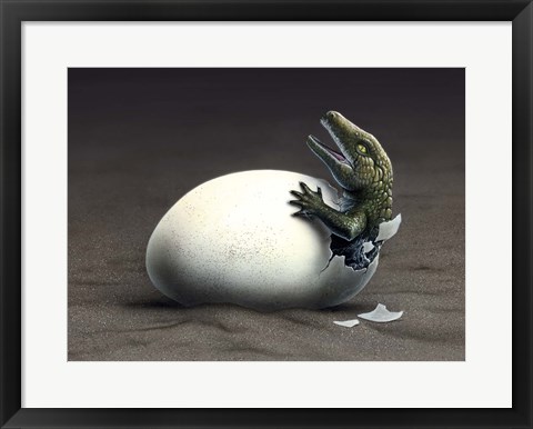 Framed Seymouria Hatching Print