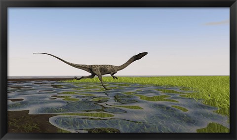 Framed Coelophysis Running Print