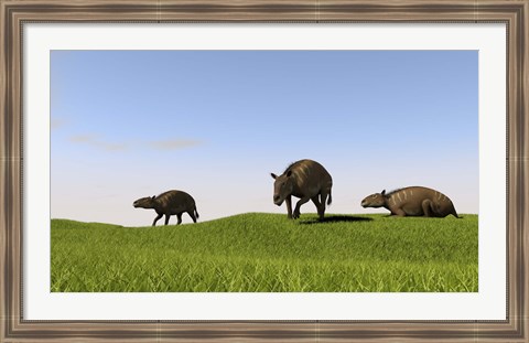 Framed Eurohippus Grazing Print