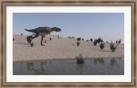 Framed Aucasaurus Print