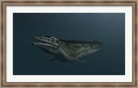 Framed Mosasaur Swimming Print