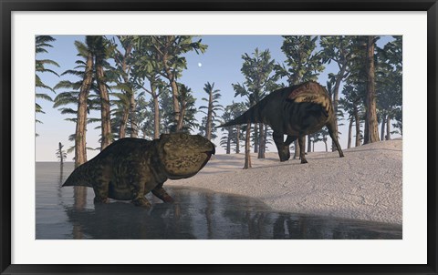 Framed Udanoceratops and Shuangmiaosaurus Print