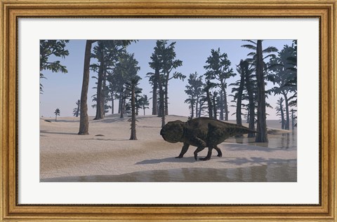 Framed Udanoceratops Walking Along Water Print