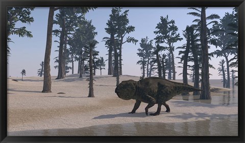 Framed Udanoceratops Walking Along Water Print