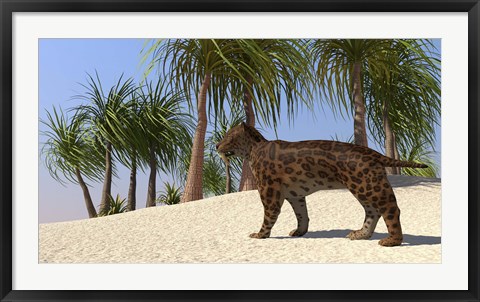 Framed Saber-Tooth Tiger Print