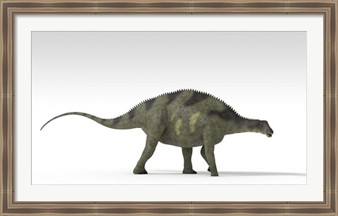 Framed Brachytrachelopan Dinosaur Print