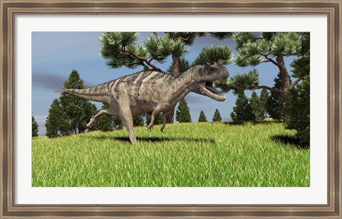 Framed Ceratosaurus Print