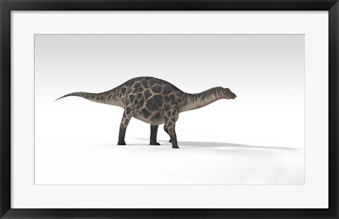 Framed Dicraeosaurus Dinosaur Print