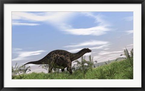 Framed Dicraeosaurus Walking Print