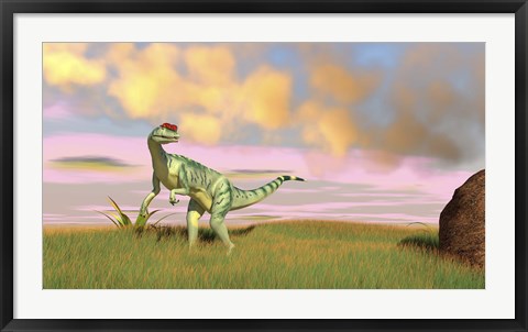 Framed Dilophosaurus Hunting in an Open Field Print