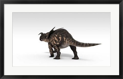 Framed Einiosaurus Dinosaur Print