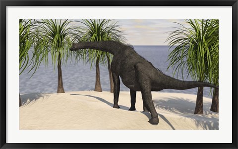 Framed Large Brachiosaurus Grazing on Trees Print