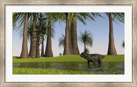 Framed Lystrosaurus Water Print