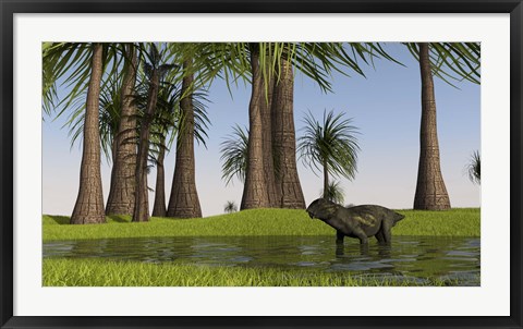 Framed Lystrosaurus Water Print