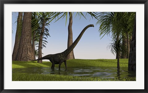 Framed Mamenchisaurus Walking through Swamp Print