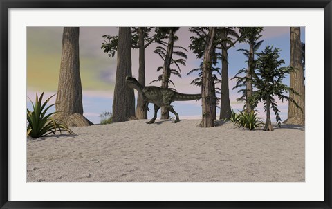 Framed Monolophosaurus in Prehistoric Environment Print