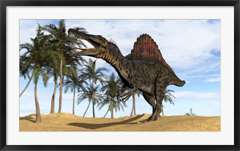 Framed Spinosaurus Hunting Print