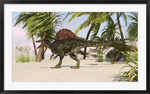 Framed Spinosaurus Hunting for Food Print